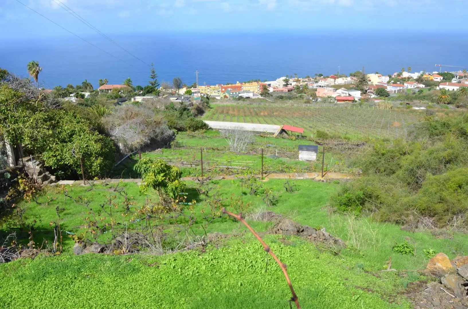 Casa o chalet en venta en Santa Úrsula con Jardín privado, Terraza y Trastero