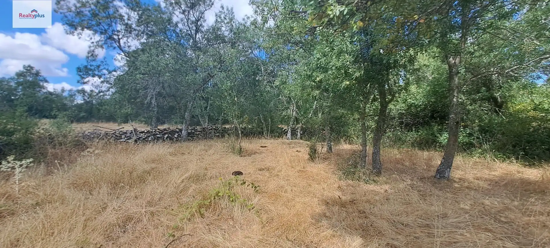 Terreni e lotti in vendita a Sotosalbos, imagen 14