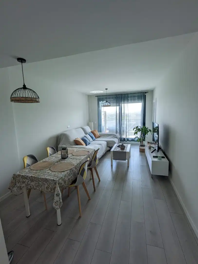 Sala d'estar de Pis de lloguer en Alicante / Alacant amb Aire condicionat, Calefacció i Parquet