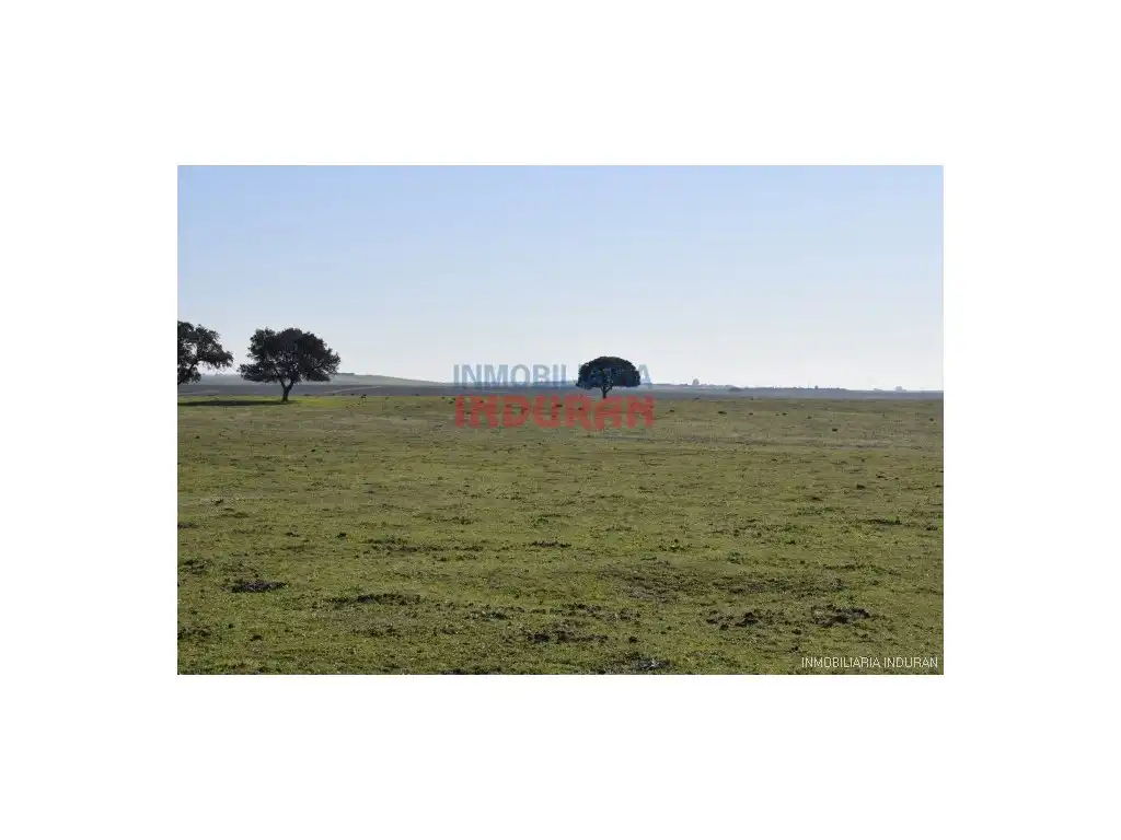 Finca rústica en venta en Las Ventas de San Julián