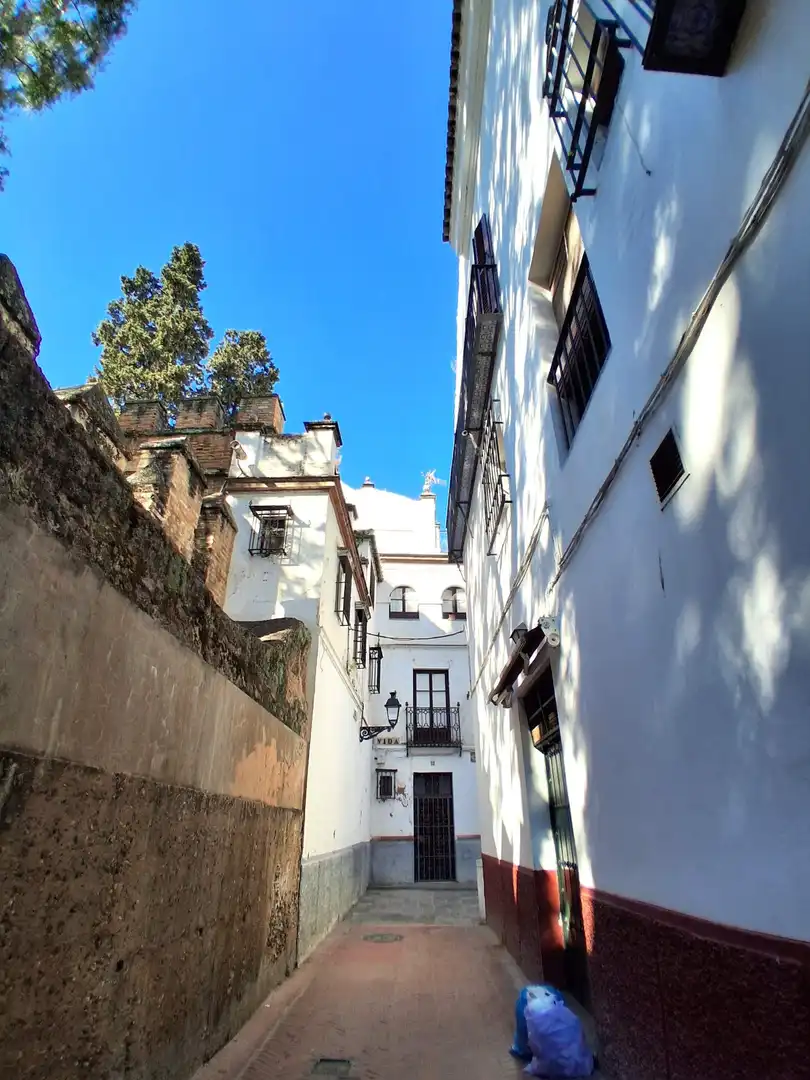 Vista exterior de Pis en venda en Sevilla amb Aire condicionat, Calefacció i Parquet