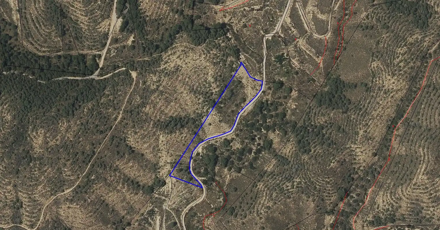 Terreny rústic en venda a Paraje Cañada de lo Garre-Poligono 225, imagen 3