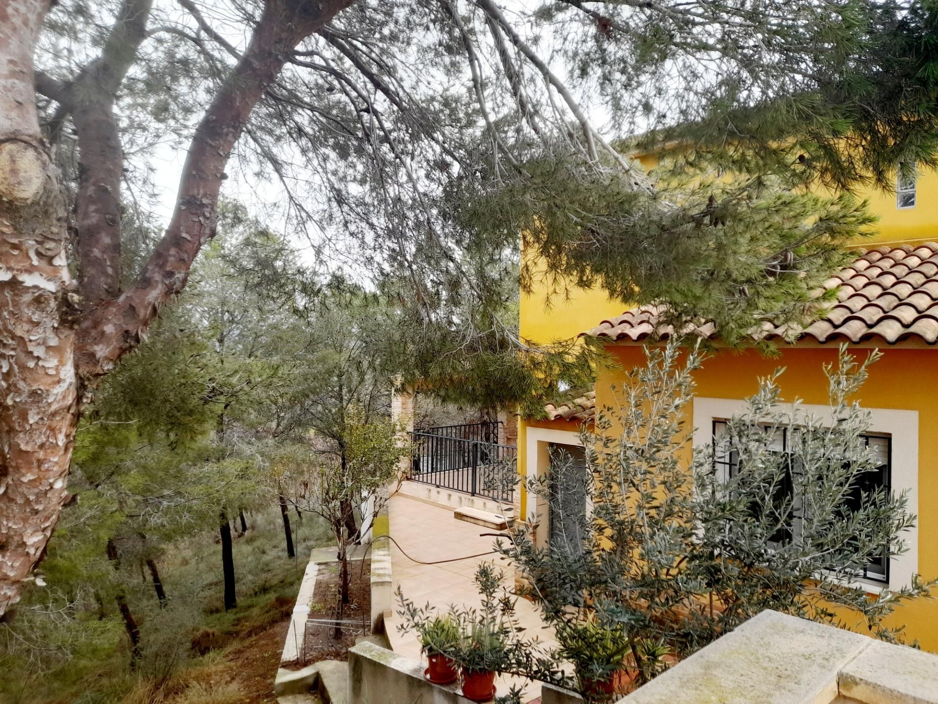 Finca rústica en venda a Urbanizacion LA PINADA, Cañadas de San Pedro