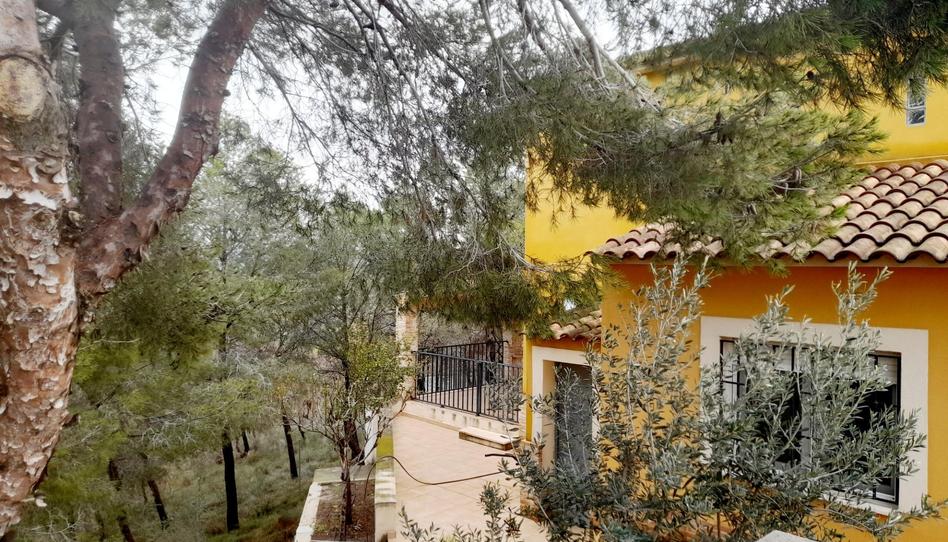 Foto 1 de Finca rústica en venda a Urbanizacion la Pinada, Cañadas de San Pedro, Murcia