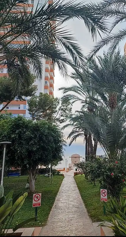 Vista exterior de Piso en venta en Benidorm con Aire acondicionado, Jardín privado y Terraza