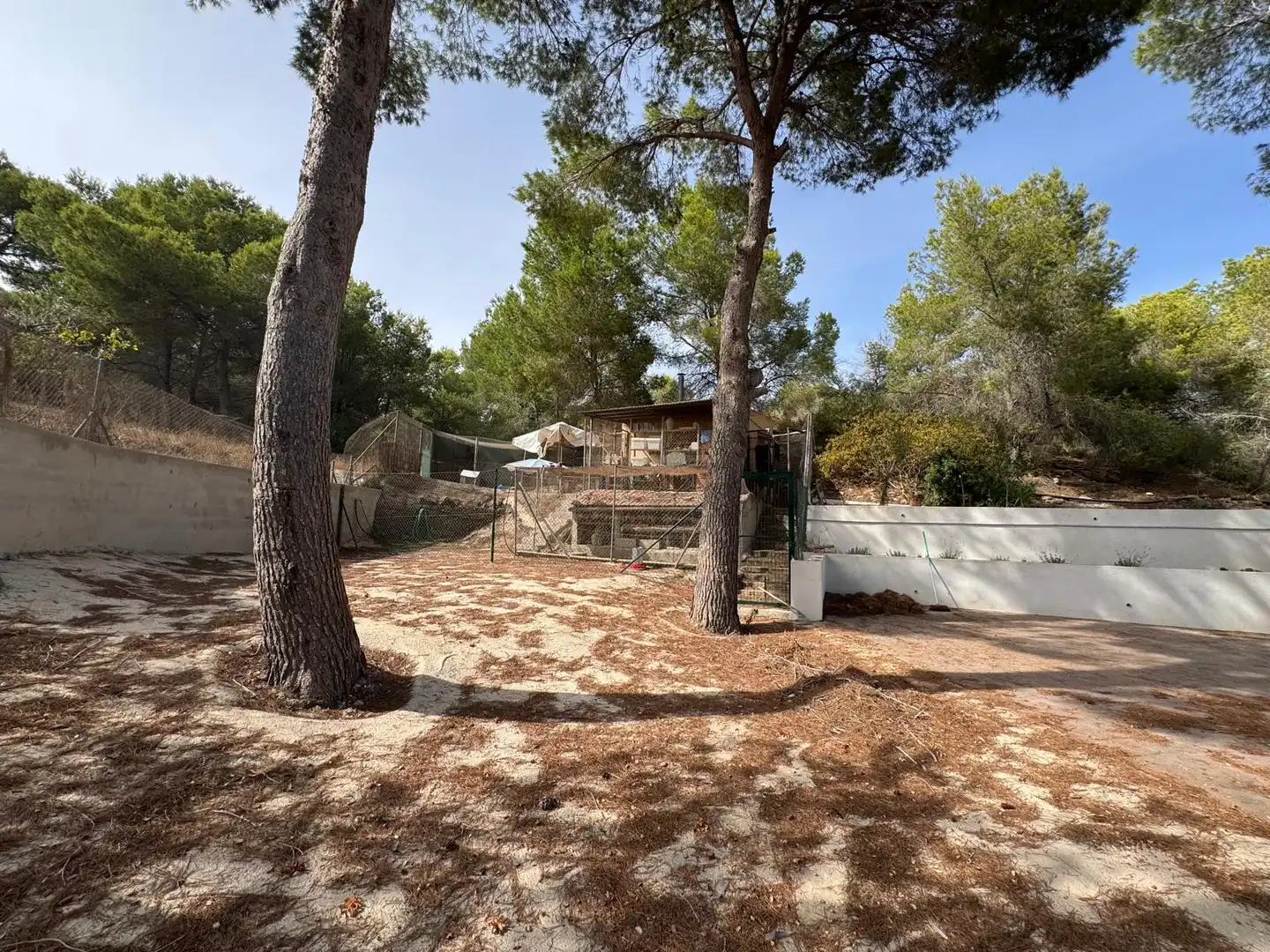 Garden of Country homes for sale in Murcia  with Heating, Private garden and Terrace
