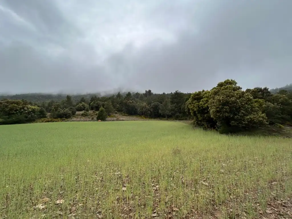 Country homes for sale in El Toro