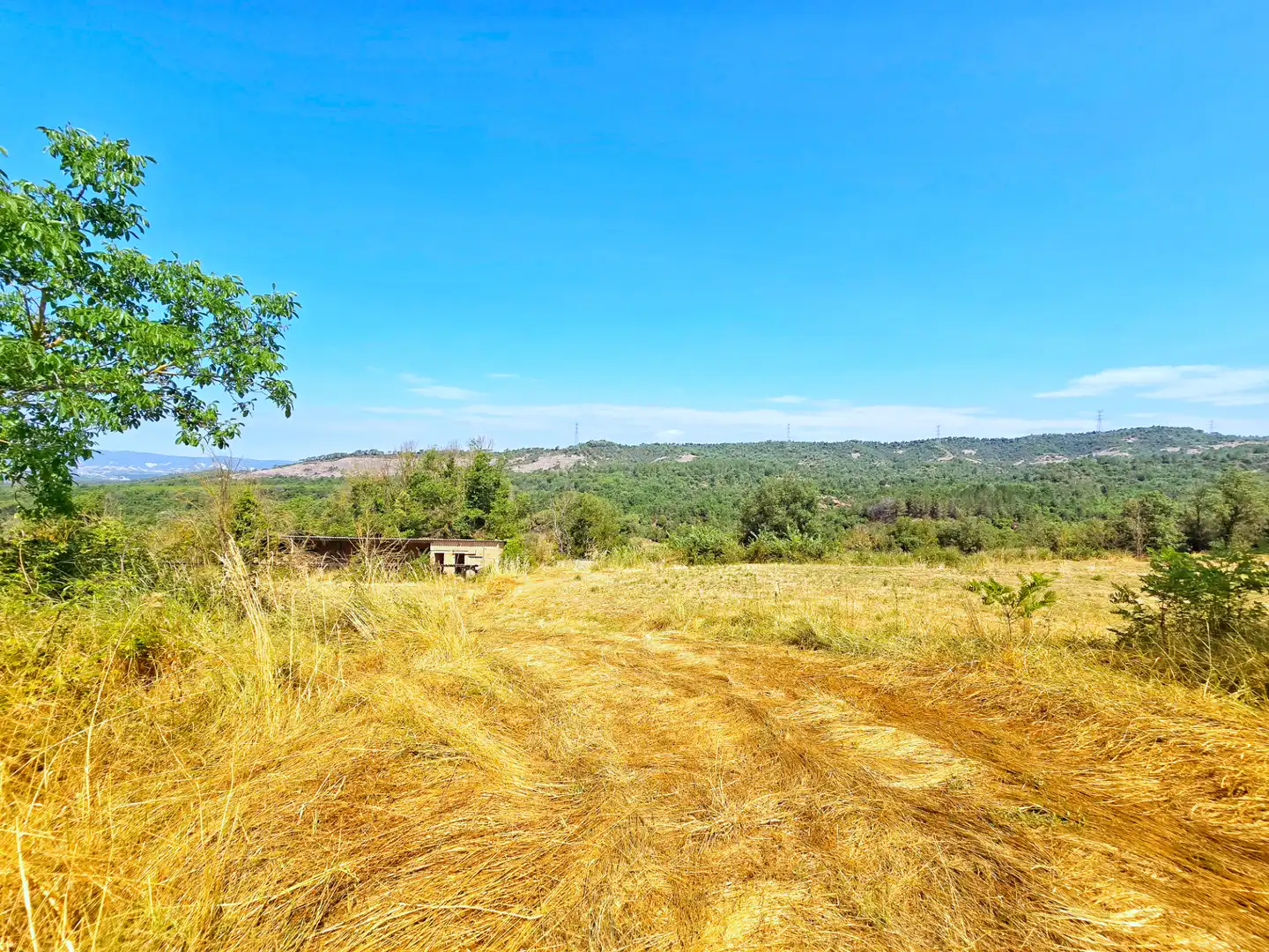 Country homes for sale in Seva