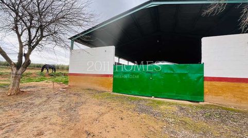 Photo 4 of Industrial buildings for sale in La Roda de Andalucía, Sevilla