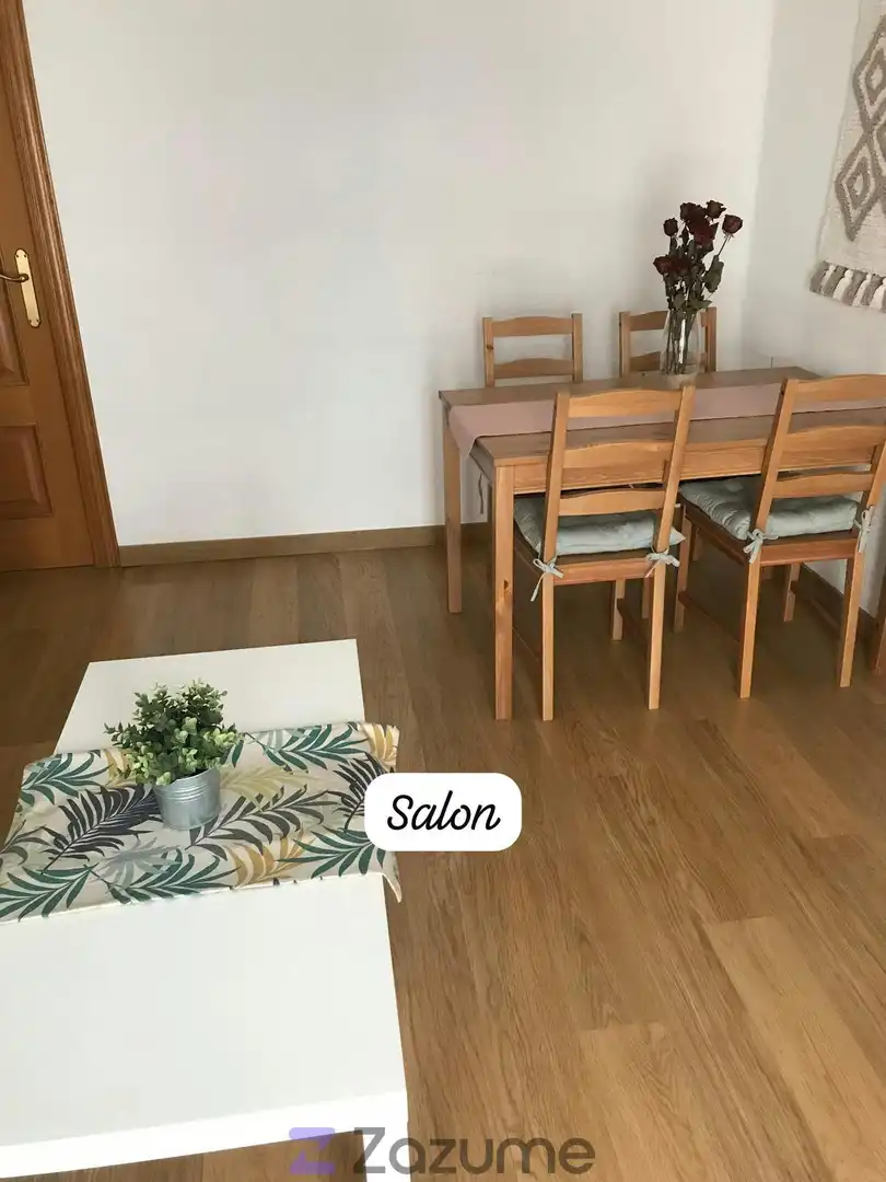 Sala d'estar de Pis de lloguer en Valencia amb Aire condicionat, Terrassa i Moblat