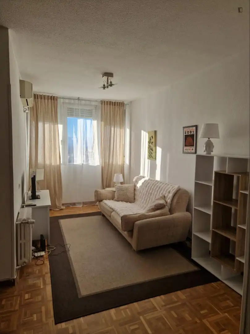 Sala de estar de Apartamento de alquiler en Madrid con Aire acondicionado, Calefacción y Amueblado