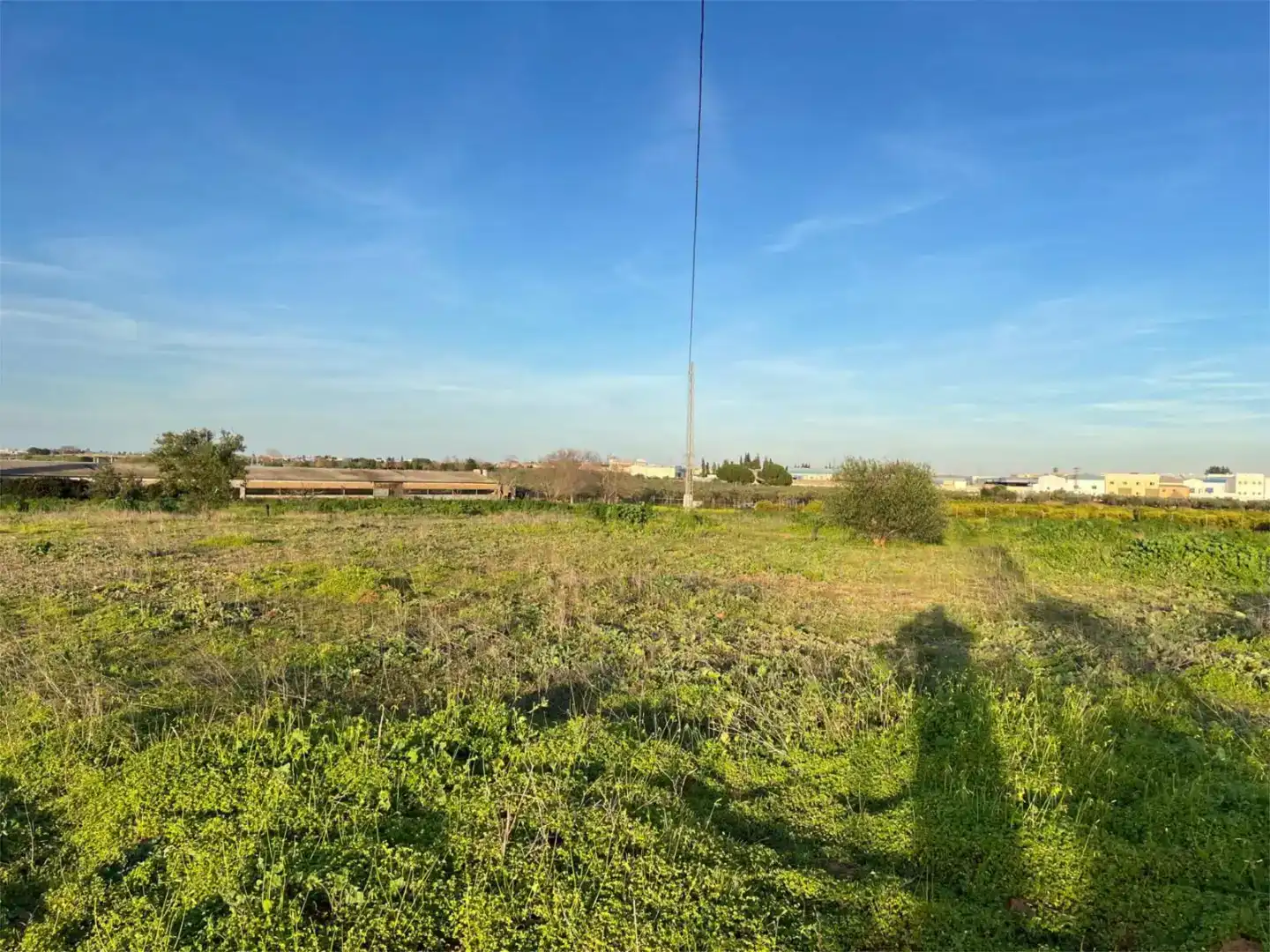 Terreno en venta en Benacazón
