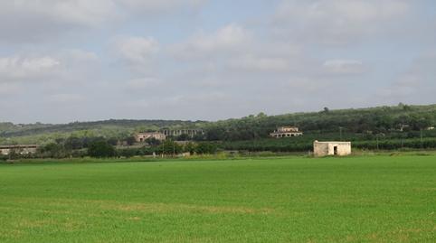 Foto 5 de Terreny en venda a Felanitx Poble, Felanitx