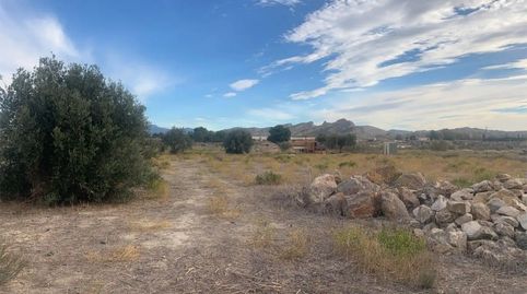 Foto 2 de Finca rústica en venta en Calle Parrilla, 111, Parrilla, Lorca