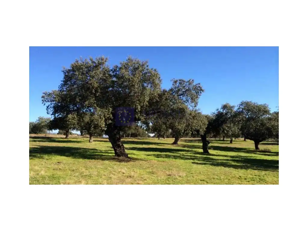 Houses for sale in Diseminados Solana, Zona Sur - Av. de España - San Miguel