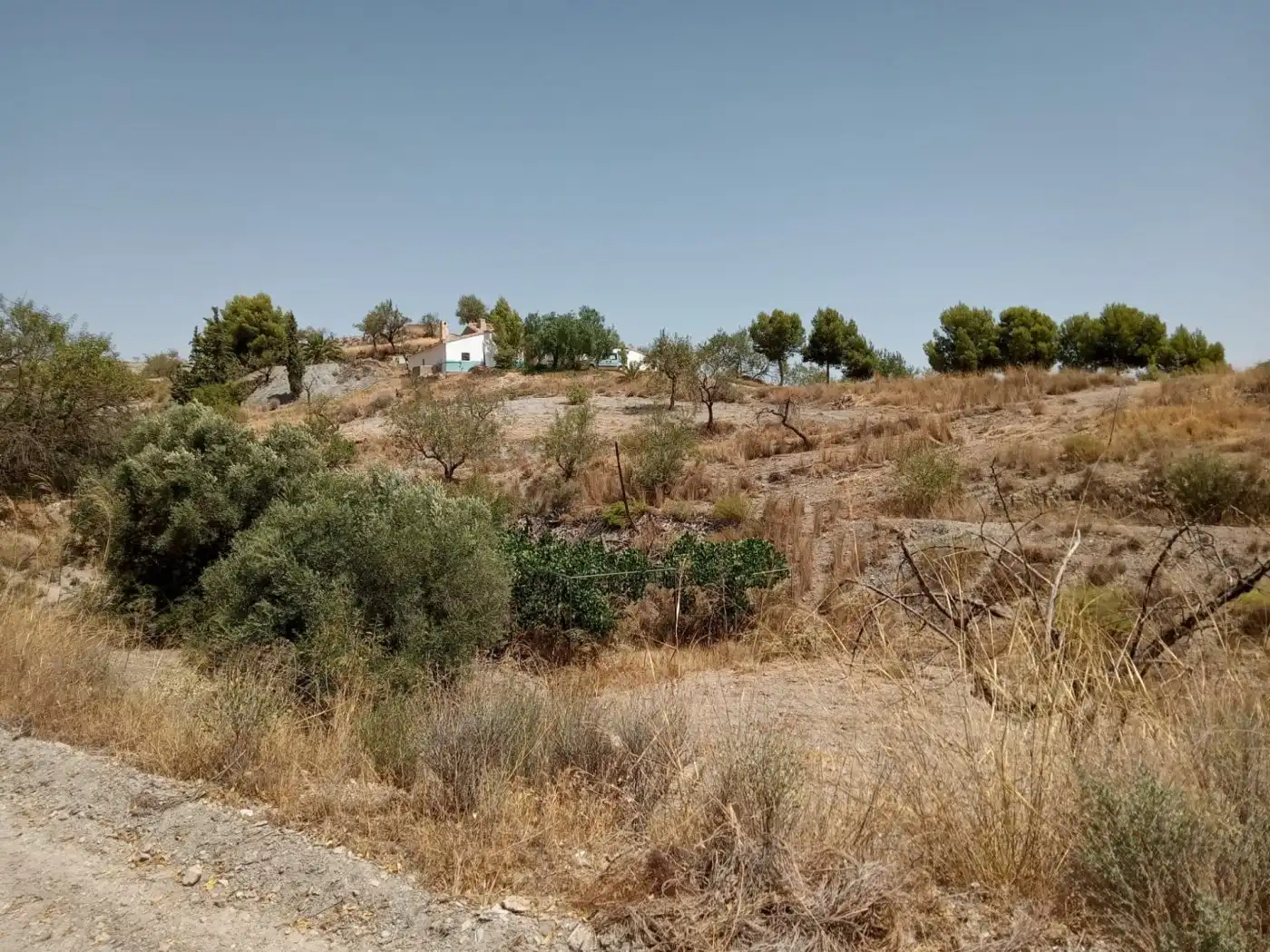 Country homes for sale in Puerto Lumbreras