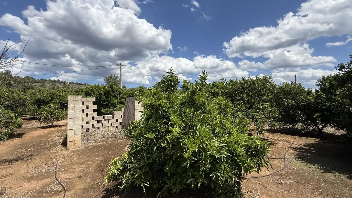 Terrain rustique à vendre à La Pobla Llarga, imagen 6