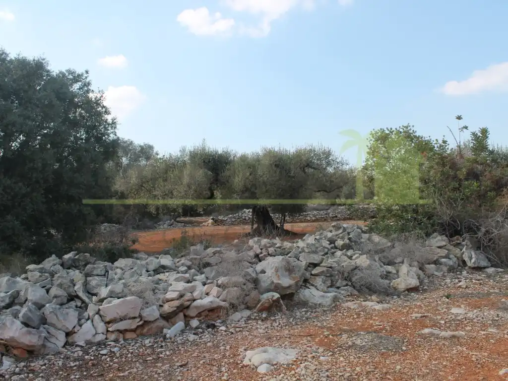 Rural land for sale in Poligono Poligono 50, imagen 14
