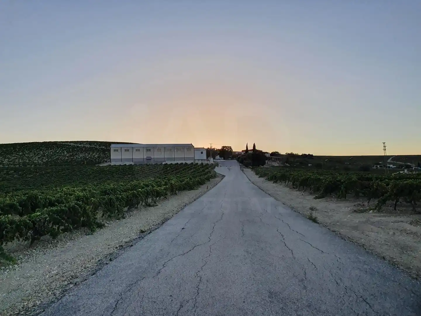 Rural land for sale in Santiago - Coronación, imagen 24