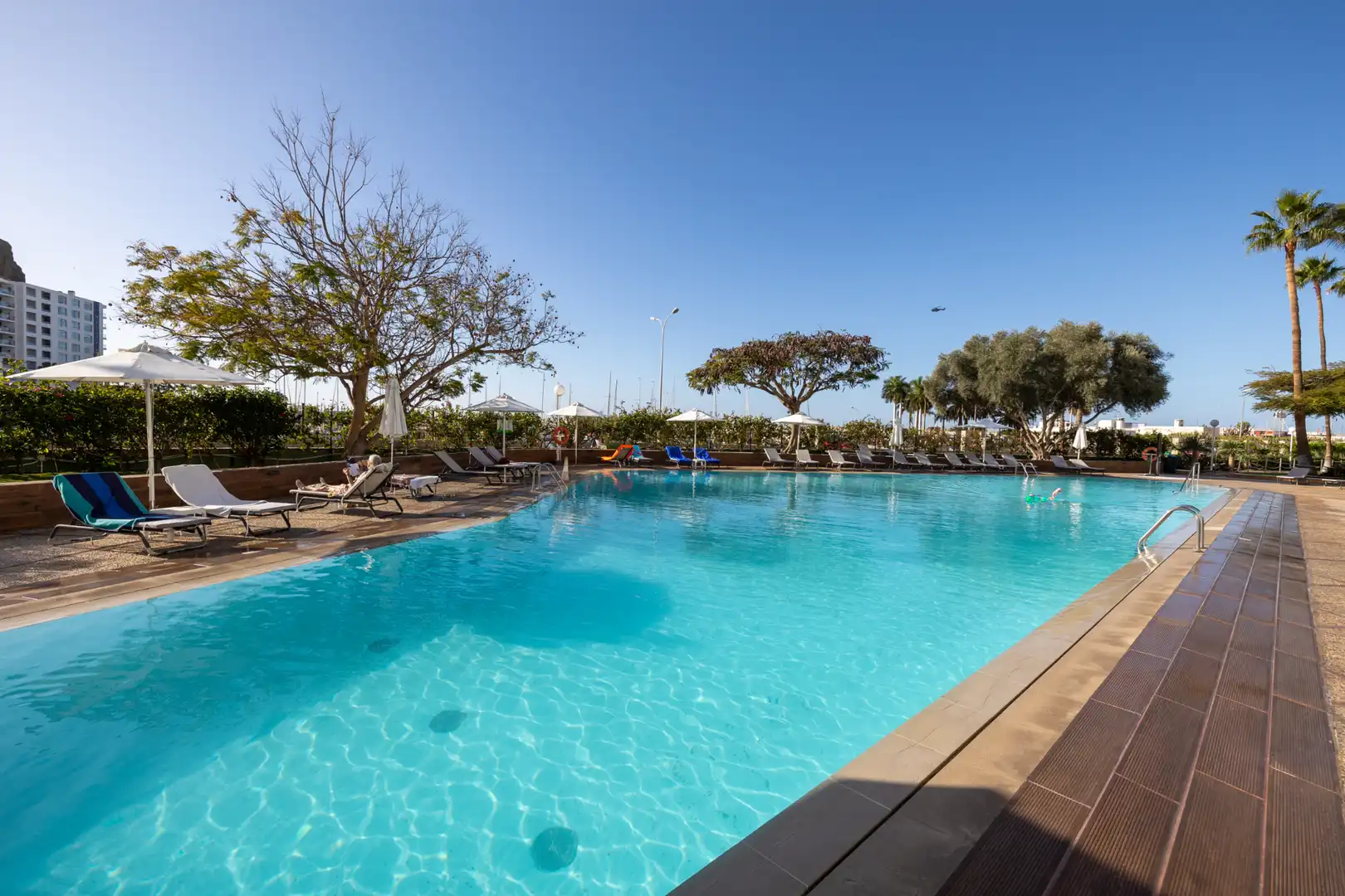 Schwimmbecken von Wohnung zum Verkauf in Mogán mit Klimaanlage, Terrasse und Möbliert