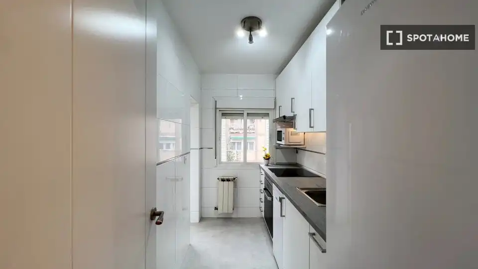 Kitchen of Flat for rent in Madrid  with Air Conditioner, Heating and Furnished