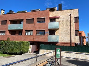 Mini appartamento con ascensore in affitto a Calle de Silvestre Ochoa