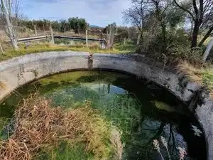Casa con piscina en venta en Carretera de Caniles, imagen 10