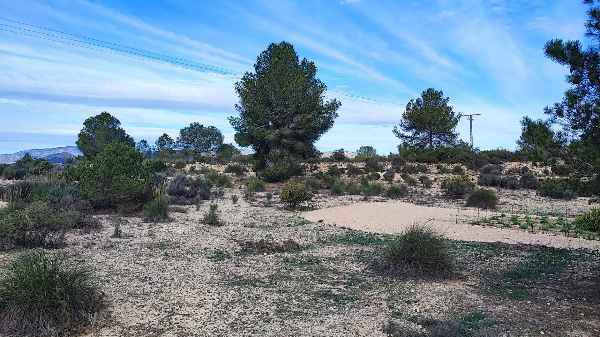 Terreno rústico en venta en CV-83 3C