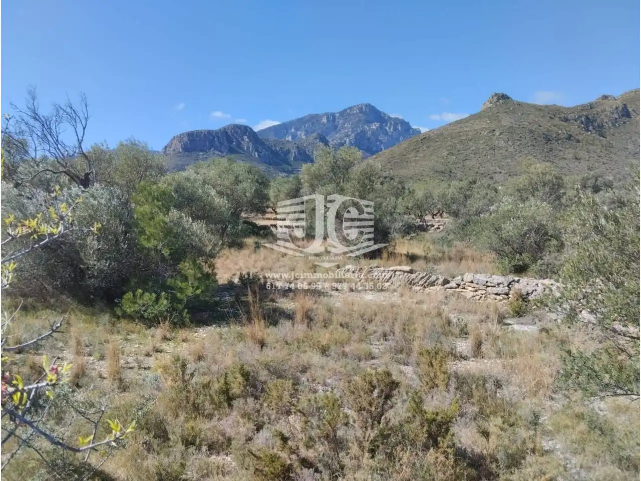 Finca rústica en venta, Roquetes, imagen 2