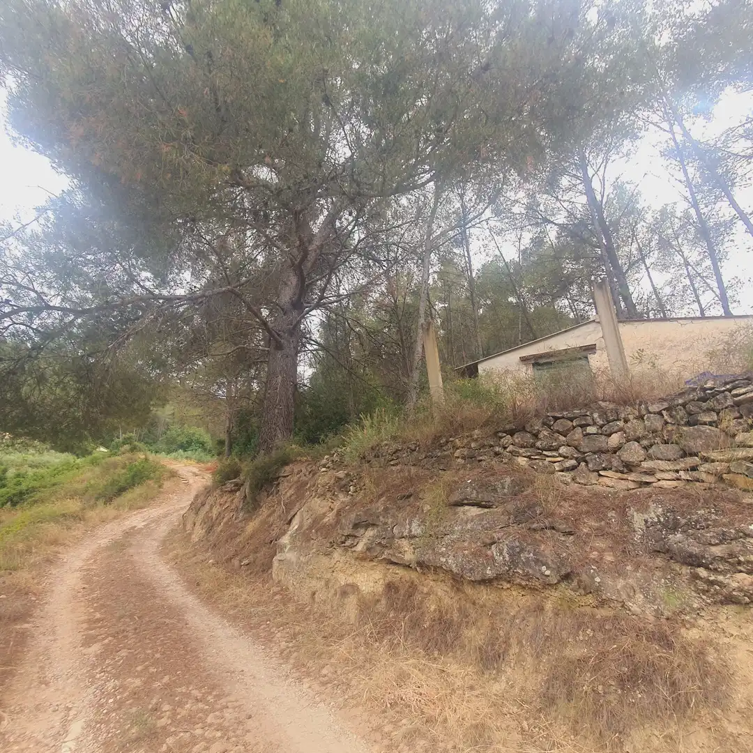 Terreno rústico en venta en Benifallet, imagen 16