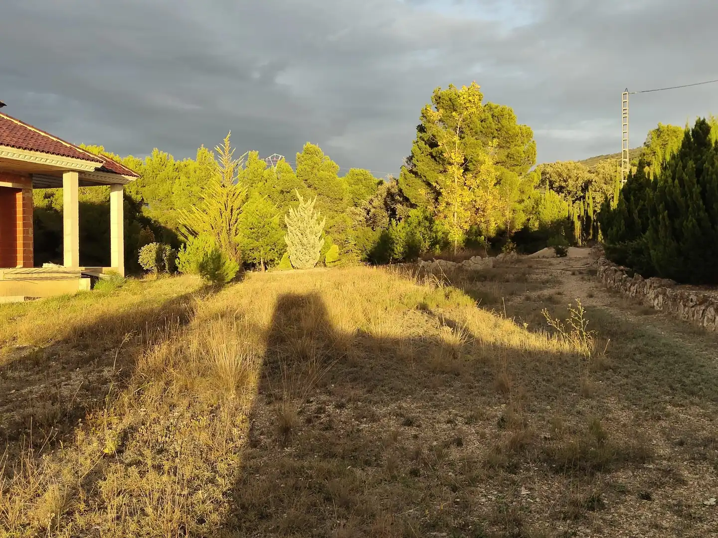 Houses for sale in Ibi