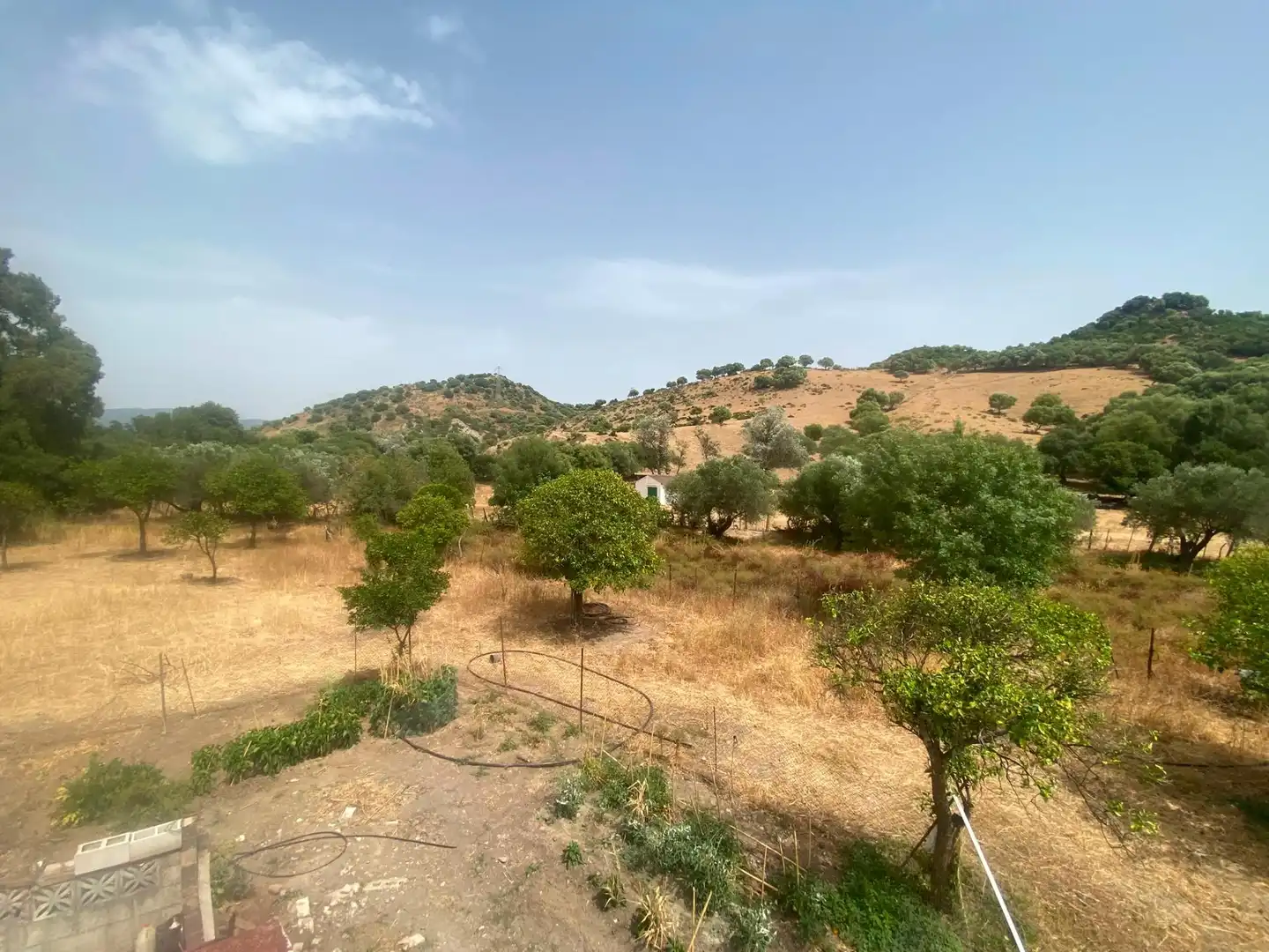 Terreni e lotti in vendita a Alcalá de los Gazules, imagen 82