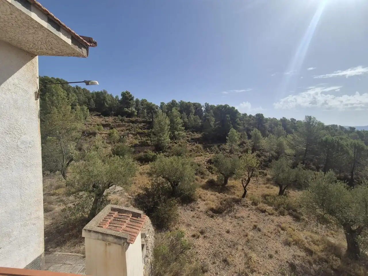 Country homes for sale in Onil