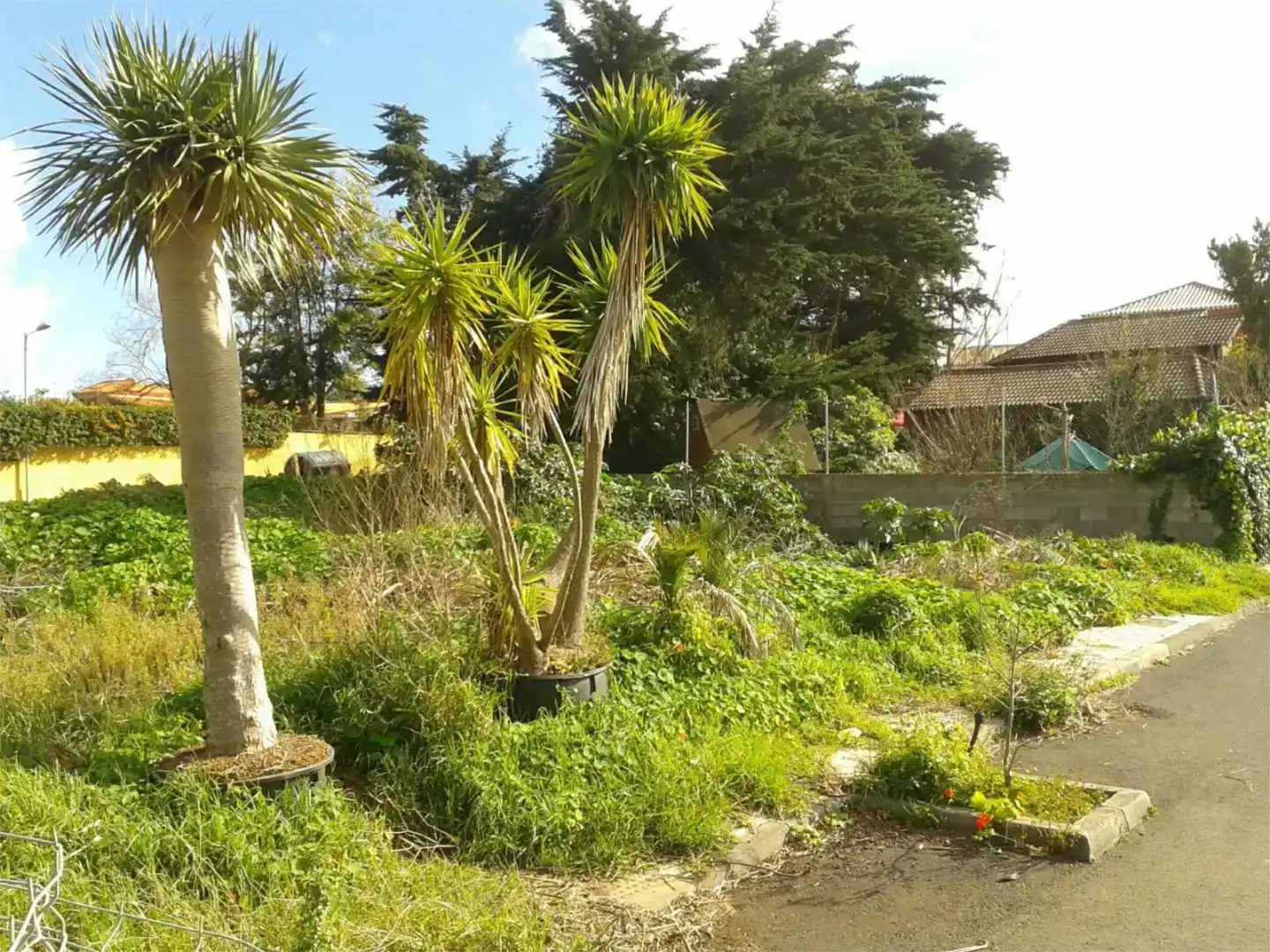 Finca rústica en venda en Tegueste