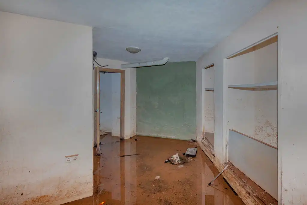 Commercial properties for sale in Alzira