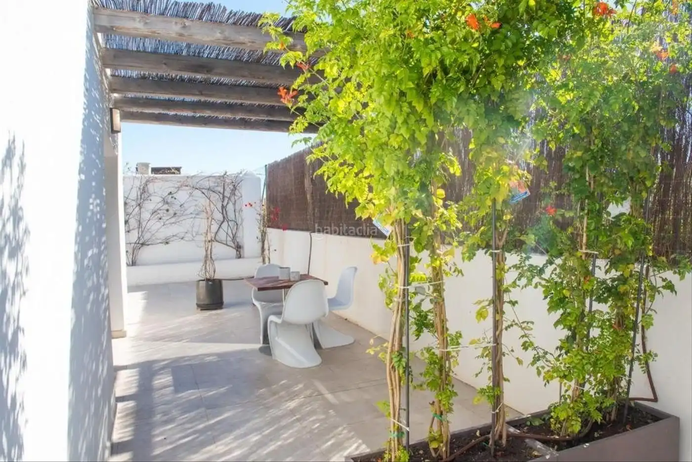 Chalet con jardín en venta en Diseminado Can Sargent 8404, imagen 11