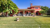 Garden of Country house for sale in Dos Hermanas  with Air Conditioner, Heating and Private garden