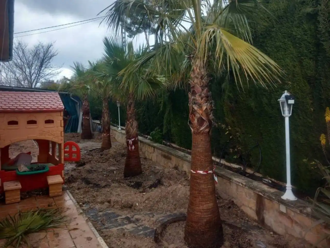 Jardín de Casa o chalet en venta en Benillup