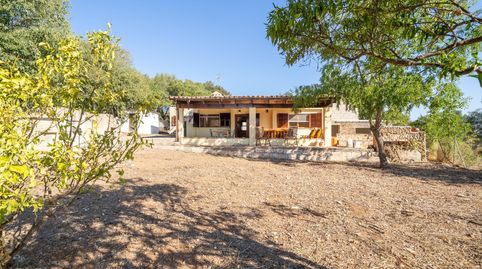 Foto 4 de Finca rústica en venta en Polígono Sencelles, Sencelles, Illes Balears