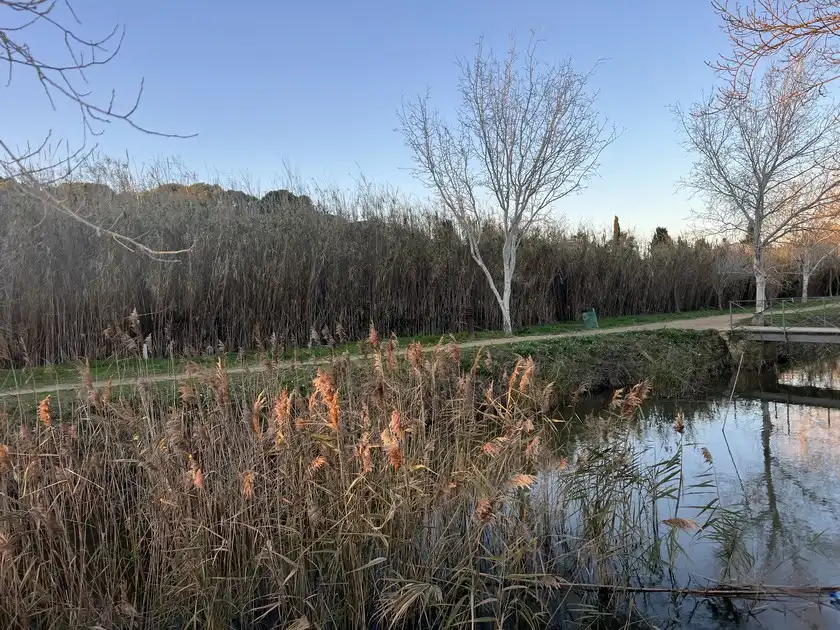 Residencial en venda en L'Escala