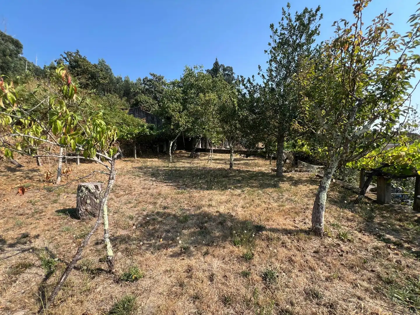 Casa o chalet en venta en As Neves   con Calefacción, Jardín privado y Trastero