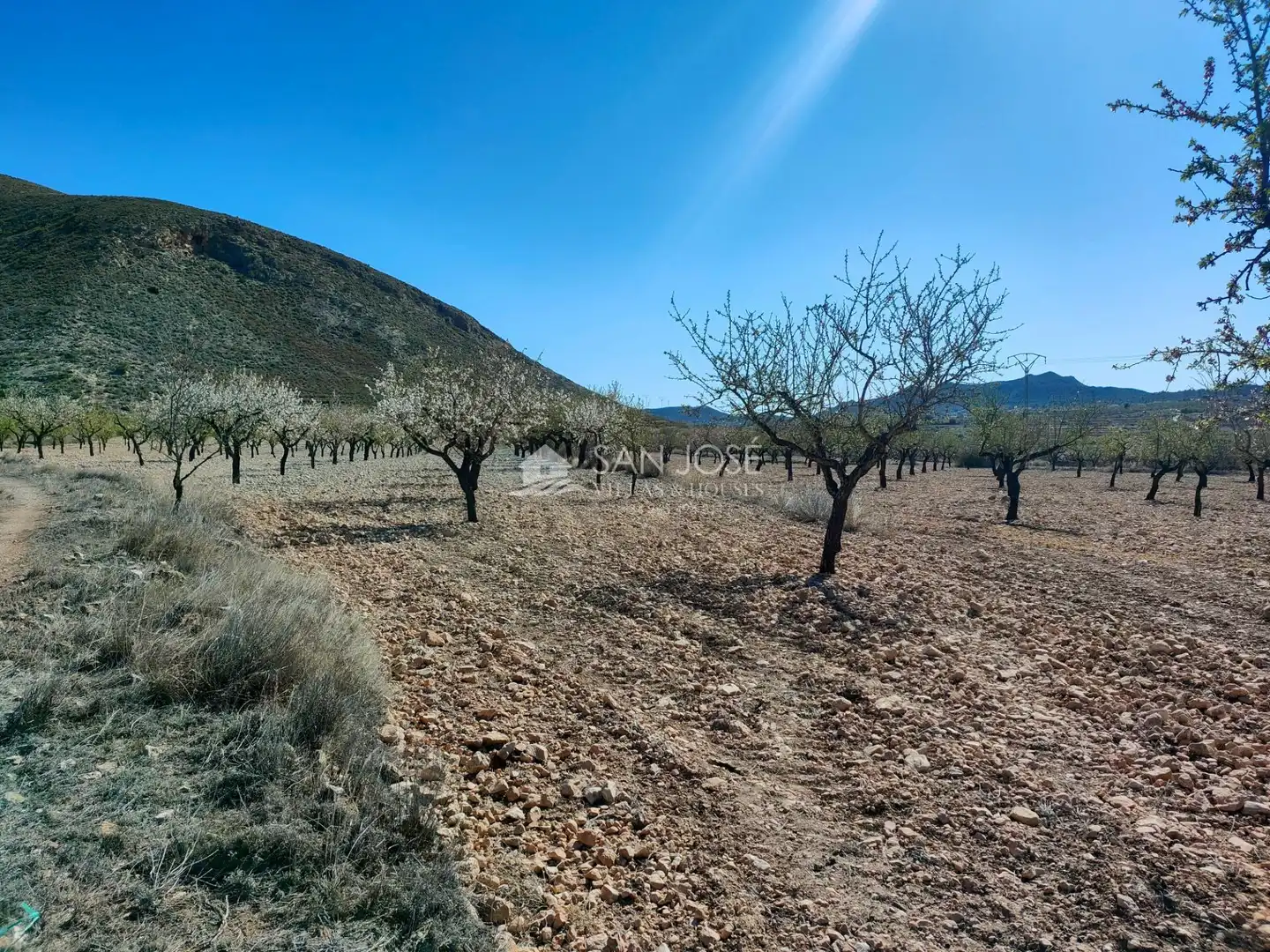 Terreno rustico in vendita a La Murada - Los Vicentes, imagen 10