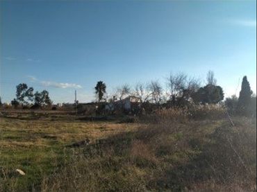 Terreny rústic en venda a Avinguda de Quevedo 11