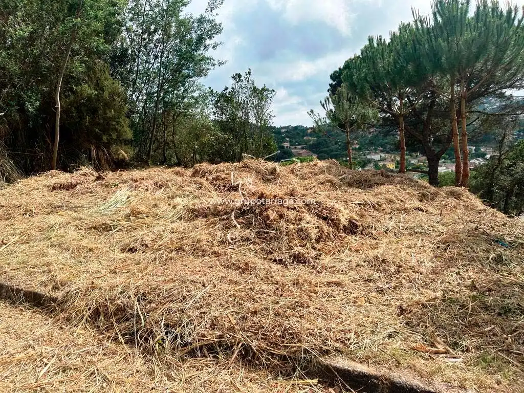 Terreno residencial en venta en Avinguda de la Senyera 14, imagen 3