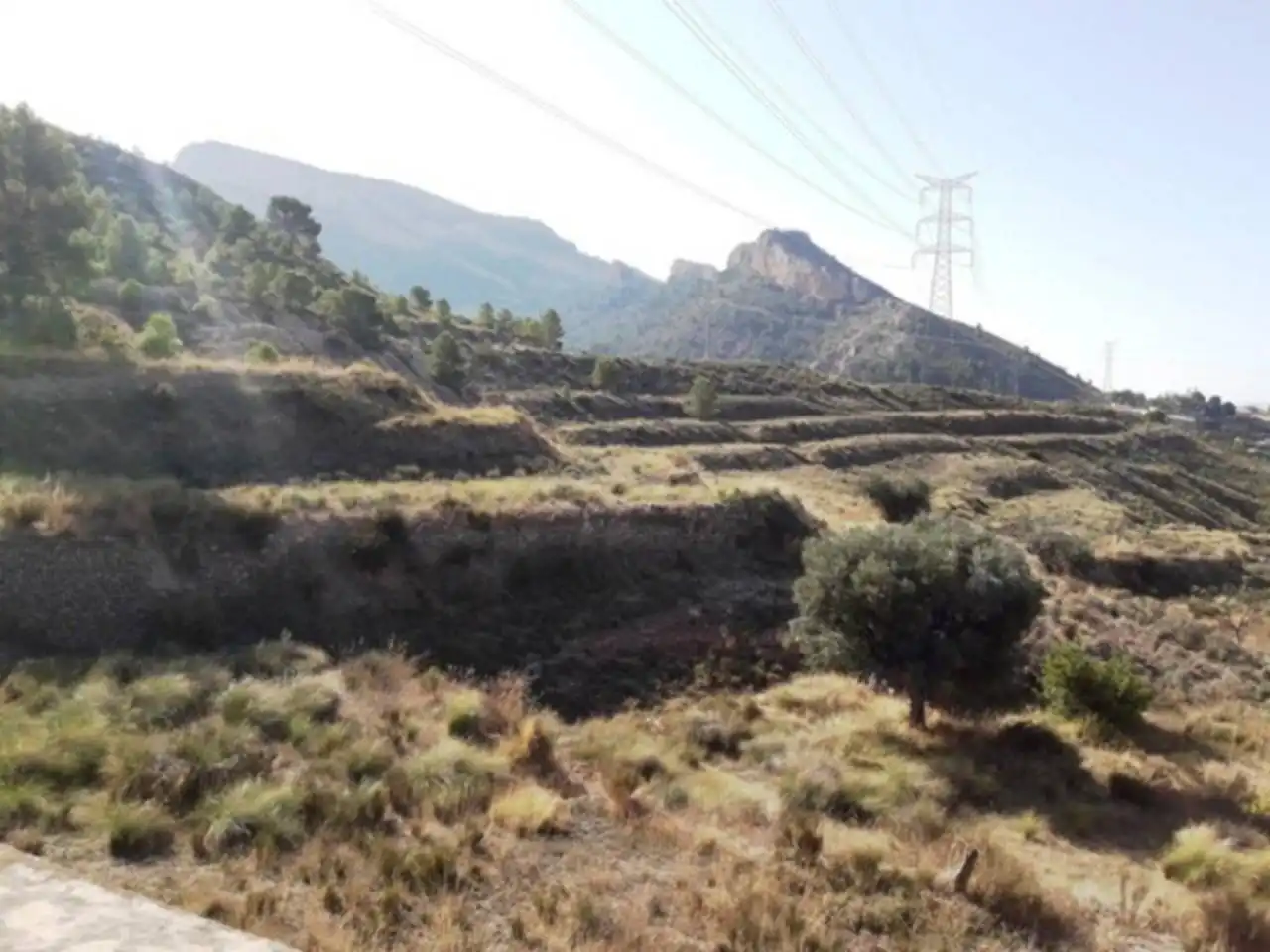 Terreno rústico en venta en Petrer, imagen 13