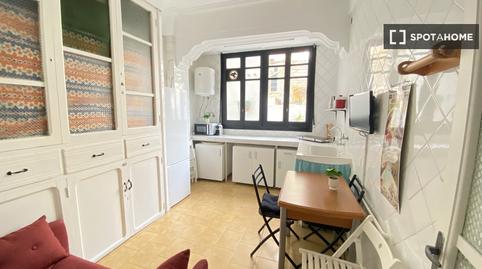Photo 4 of Apartment to share in El Botànic, Valencia