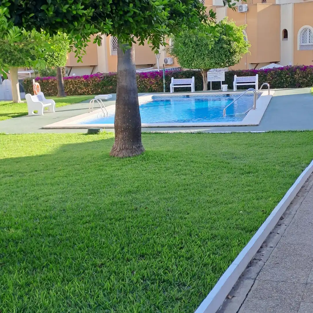 Piscina de Apartament en venda en Torrevieja amb Jardí privat, Terrassa i Moblat