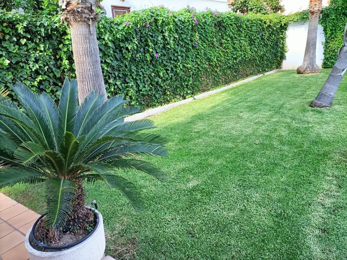 Jardín de Casa o chalet en venta en Calafell con Aire acondicionado, Calefacción y Terraza