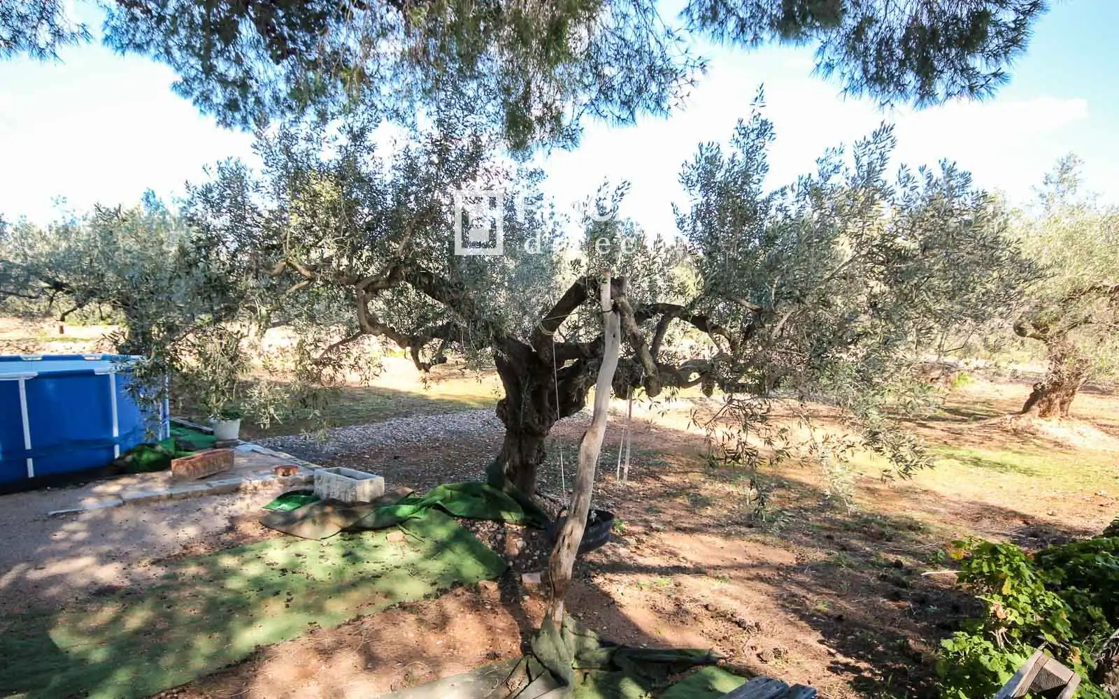 Jardí de Finca rústica en venda en Camarles amb Terrassa i Moblat