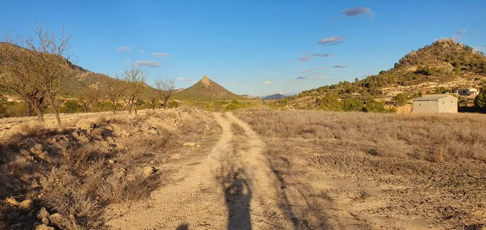 Grundstücke und Bauplätze zum Verkauf in Ricote, imagen 8